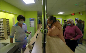 В Ленобласти заболеваемость гриппом и ОРВИ выросла на 31%