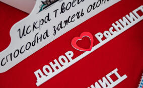 Более 800 жителей Петербурга пополнили регистр доноров костного мозга