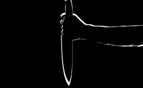 Пьяный мужчина угрожал ножом постояльцу хостела в центре Петербурга