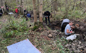 Останки 16 солдат Красной армии обнаружили в Колпино