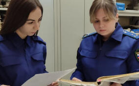 Прокуратура нашла нарушения в работе ряда музеев Ленобласти