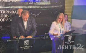 В Мурино запустят новое производство за 4,5 млрд рублей