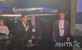 Производство сухих строительных смесей появится в Новодевяткинском поселении