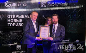 Дмитрий Ялов уходит с поста зампреда правительства Ленобласти