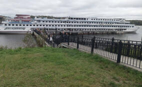 У музея «Прорыв блокады Ленинграда» встретили первый круизный лайнер