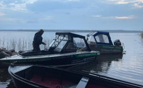 В заказниках Ленобласти продолжают борьбу с браконьерами