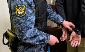 В Сланцевском районе судебные приставы задержали находившегося в розыске вора