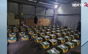 В порту Петербурга изъято более полутора тонн наркотиков