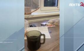 Экстренные службы на Камчатке обследуют здания после сильного землетрясения