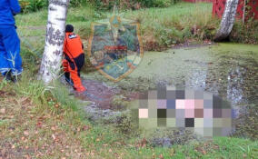Спасатели извлекли тело мужчины из пожарного водоема в Приозерском районе