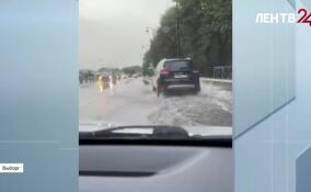 Александр Дрозденко работает в Выборге