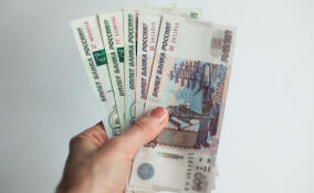 В Петербурге на 16,5% выросла средняя предлагаемая зарплата