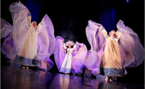 Пять учреждений культуры Ленобласти смогут получить субсидии в рамках нацпроекта «Семья»