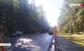 В Сосновом Бору начался ремонт сразу на нескольких дорогах