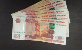 Пятеро жителей Выборгского района стали жертвами мошенников