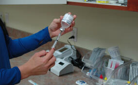 С 1 октября в Ленобласти стартует кампания вакцинации против краснухи