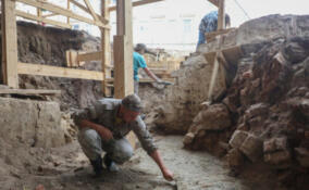 В Кингисеппском районе обнаружили уникальное доисторическое поселение