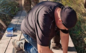 Знаменитая экотропа «Еловые холмы» в заказнике «Токсовские высоты» преобразилась