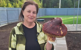 В окрестностях деревни Нижняя Шоткуса нашли гигантский гриб