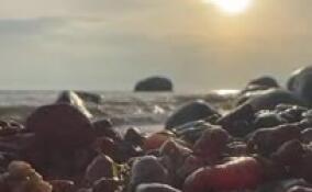 Александр Дрозденко показал красоту осенней Балтики