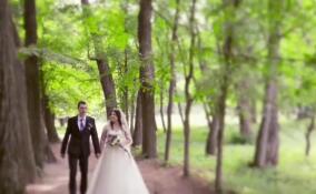 В 47-м регионе завершился сезон выездных регистраций бракосочетаний