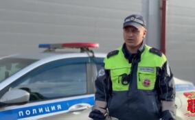 В Тосно инспекторы ДПС эвакуировали людей и животных из горящего дома