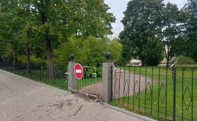 В Выборге закрывают парки из-за штормового ветра