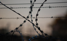 Жителя Киришей приговорили к семи годам за хранение и сбыт наркотиков