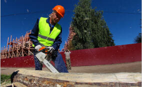 В Ленобласти 5,2 тыс. ищущих работу при 144 тыс. вакансий