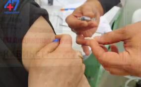 Мобильная амбулатория приняла более ста человек во Мге