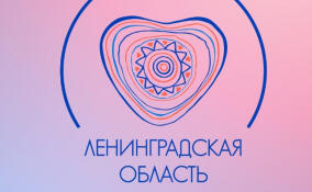 В Ленобласти завершился прием заявок на конкурс грантов губернатора для ветеранов СВО и членов их семей