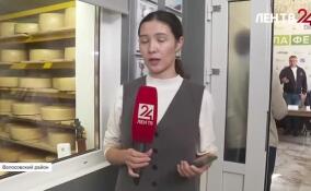 На базе авторской сыроварни в Волосовском районе стартует 12-й поток Школы фермера