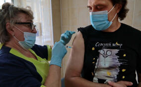 В Гатчине организована выездная вакцинация против гриппа