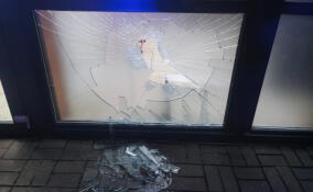 Пьяный подросток бил витрины и обчищал магазины в Гатчине