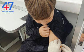 В Ленобласти против гриппа привились 255 983 человек