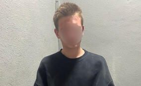 В Гатчине задержали громившего магазины юношу