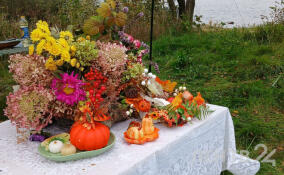 Ленинградцы готовят фирменные блюда на фестивале «Гастросемья» в Шлиссельбурге