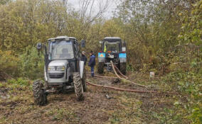 Кириши остались без воды из-за прорыва трубы на Волховской набережной