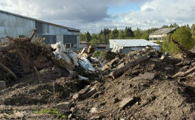Прокуратура ищет организаторов нелегальной свалки в Подпорожье