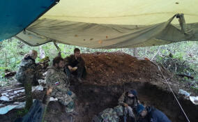 В Кировском районе подняли останки 30 красноармейцев