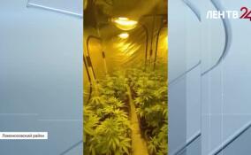 В Ломоносовском районе полицейские обнаружили наркоферму