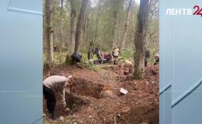 Поисковики обнаружили останки бойцов Красной армии в Кировском районе