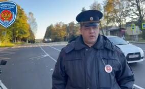 Пьяный водитель сбил пенсионерку в Луге