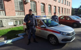 Нетрезвый водитель попался сотрудникам Росгвардии в Выборге