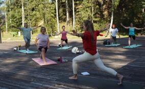 ЭКОзабег, ГТО и пешеходный туризм: ленинградцы проведут выходные с пользой для здоровья
