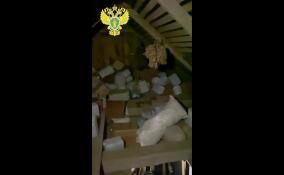 В Сланцевском районе расследуют дело о массовом отравлении суррогатным алкоголем