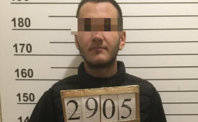 Молодого человека задержали за стрельбу в авто на стоянке в Пикалево