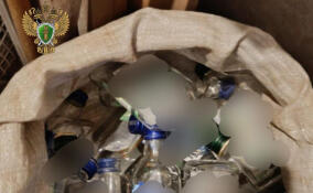 Стали известны подробности смертельного отравления суррогатом семи человек в Сланцевском районе