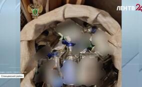 Уголовное дело возбудили после массового отравления суррогатом в Сланцевском районе