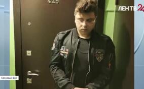 В Сосновом Бору задержан подозреваемый в развратных действиях в отношении несовершеннолетних